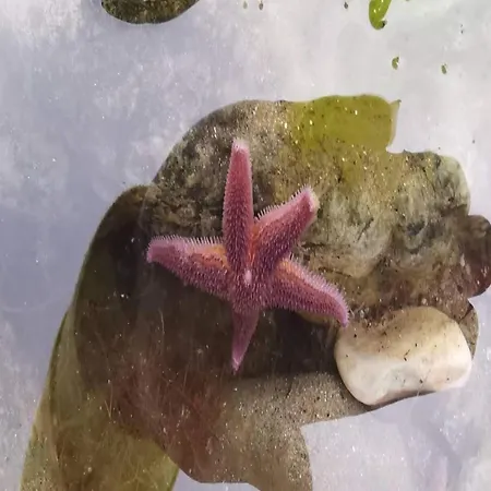 Seaside Charm In Ristinge-by Traum